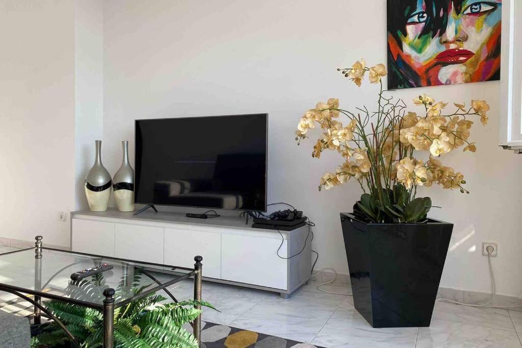 Apartamento Plaza Del Parque فيلانويفا دي أروسا المظهر الخارجي الصورة