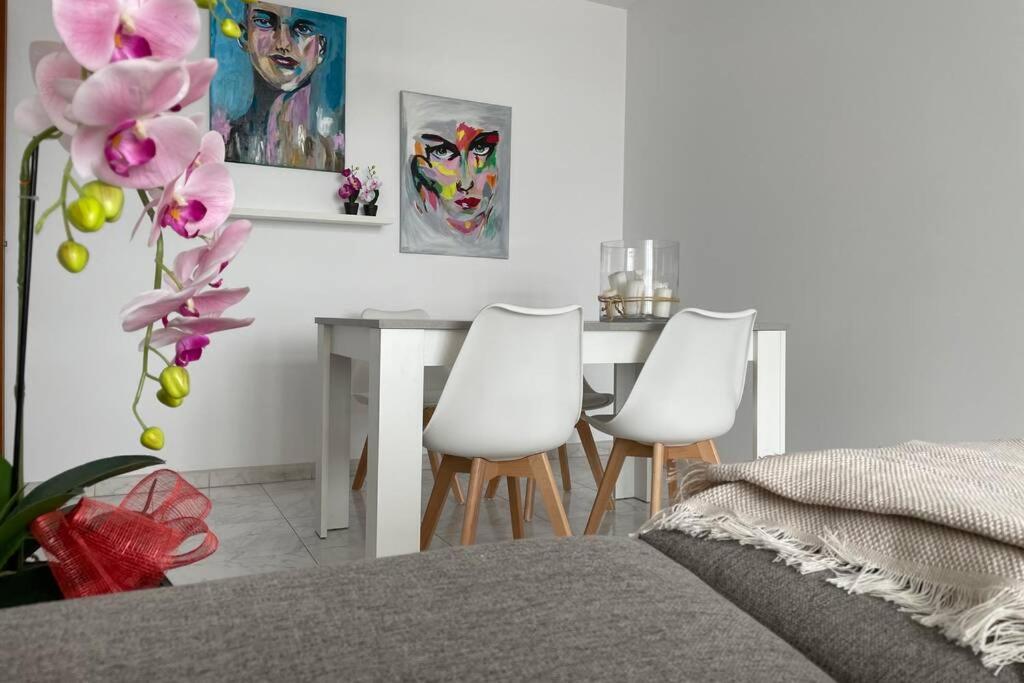 Apartamento Plaza Del Parque فيلانويفا دي أروسا المظهر الخارجي الصورة